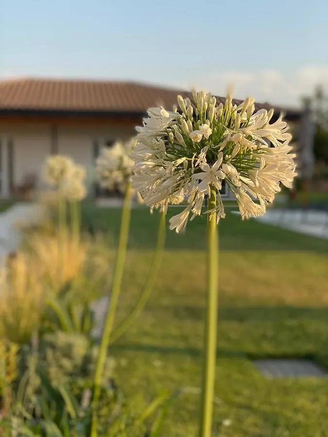 Agriturismo Pepe Rosa Rivoli Veronese Italy